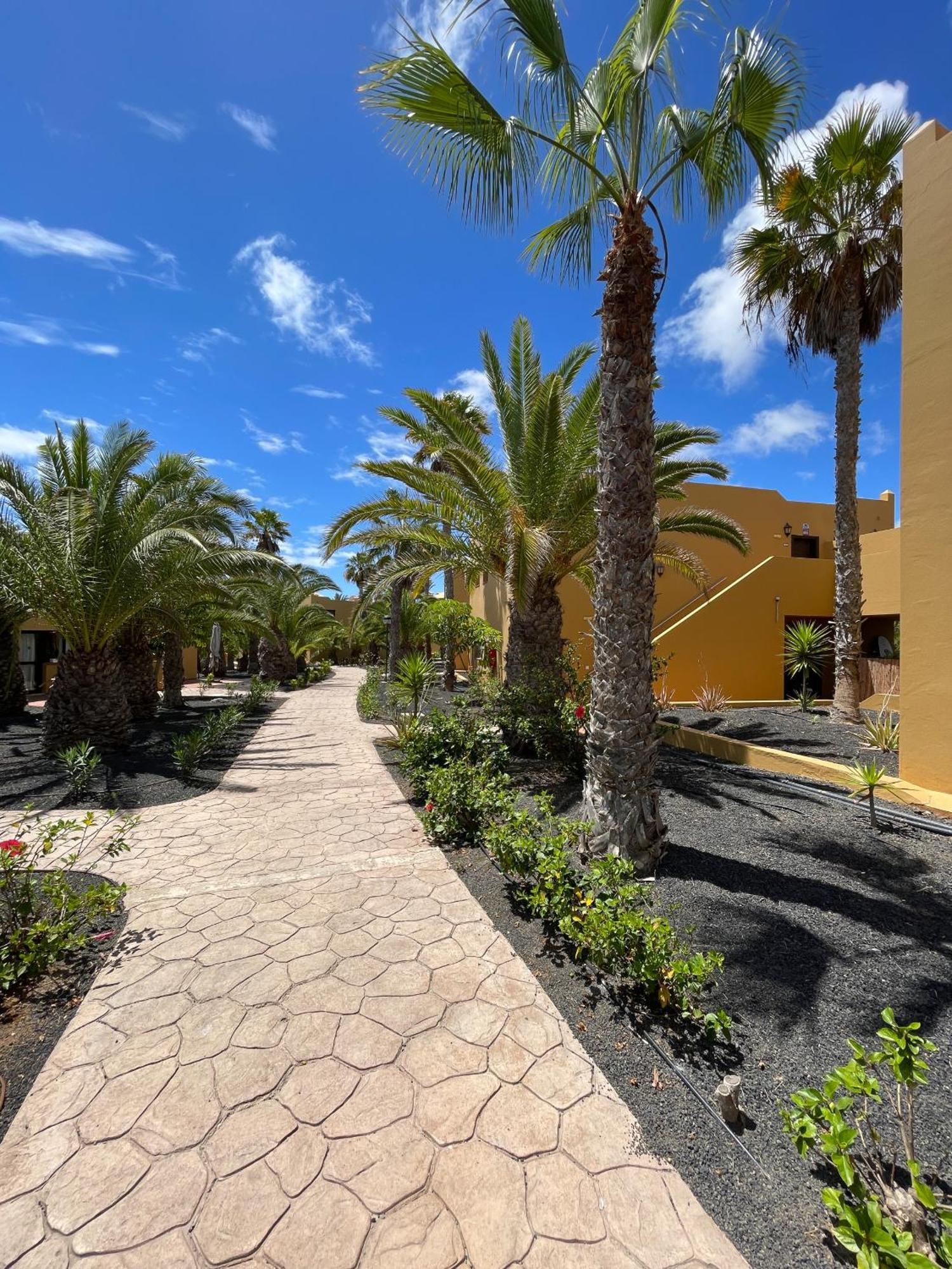 B-Rent Casa Angela Pool View Apartment Corralejo Bagian luar foto