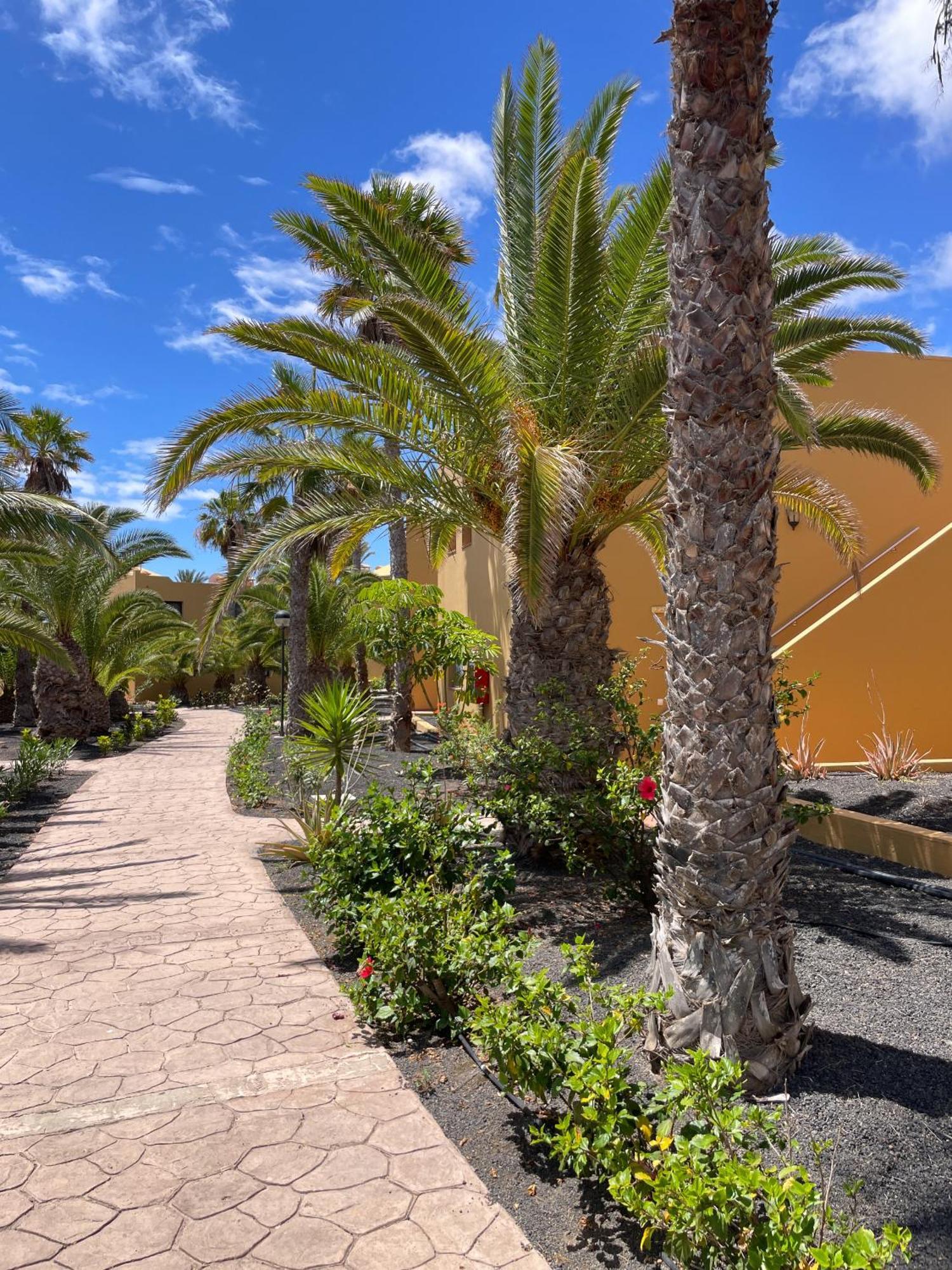 B-Rent Casa Angela Pool View Apartment Corralejo Bagian luar foto